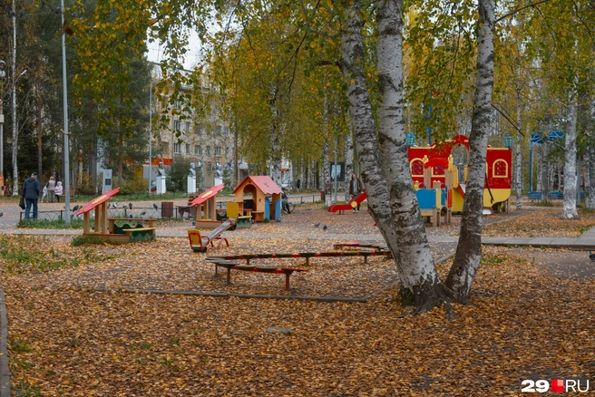 Источник: Иван Митюшёв / 29.RU