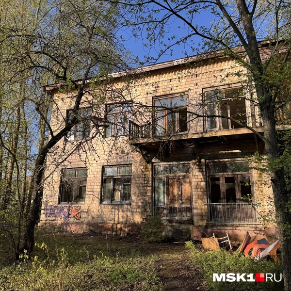 Источник: Алина Мельникова / MSK1.RU