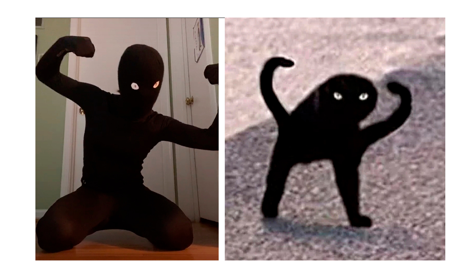 Черные коты мемы