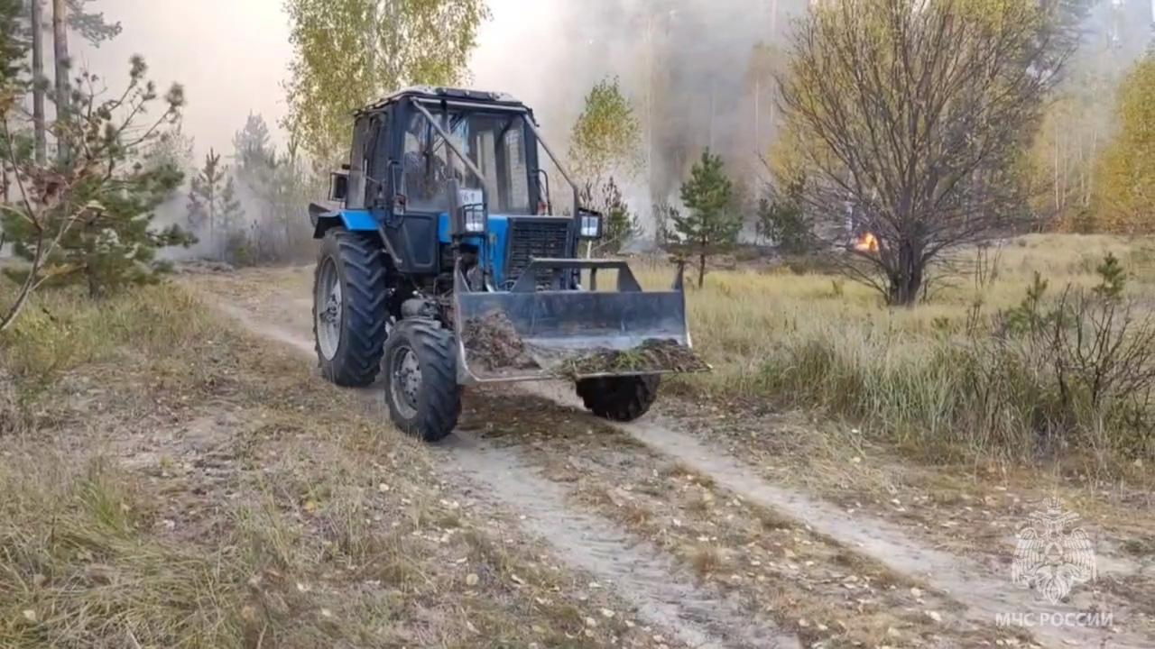 Горит второй день: площадь лесного пожара под Сызранью выросла до 57 гектаров