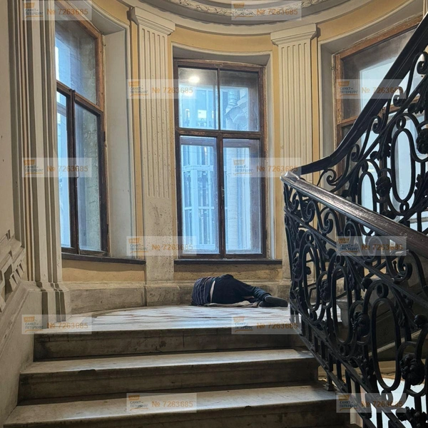 Источник: Портал «Наш Санкт-Петербург»