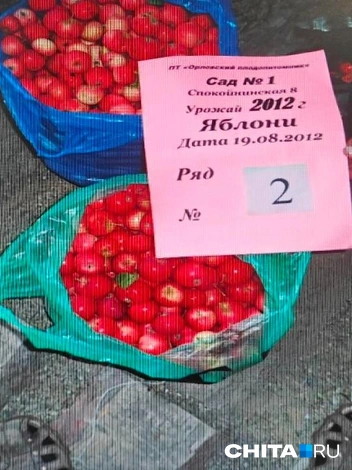 Источник: архив Владимира Каргина