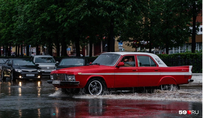 В выходные пройдут сильные дожди | Источник: Тимофей Калмаков