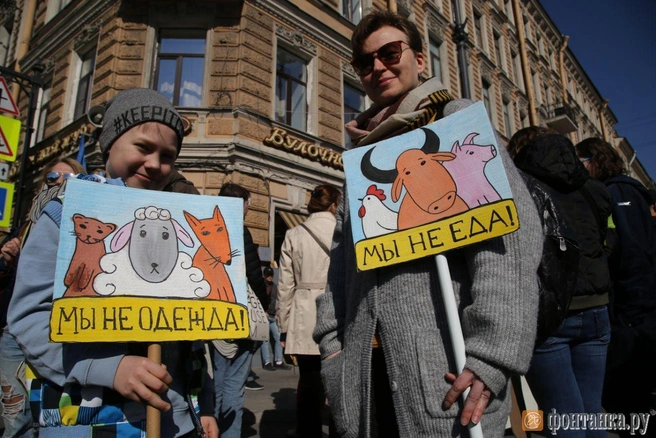 Сначала Фаина отказалась от мяса, а потом&nbsp;— полностью от продуктов животного происхождения | Источник: FONTANKA.RU