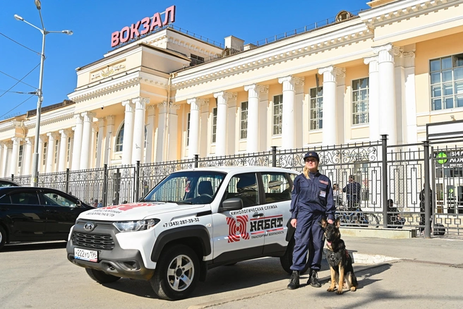 Теперь собаки&nbsp;— полноправные напарники сотрудников службы транспортной безопасности | Источник: Максим Воробьев