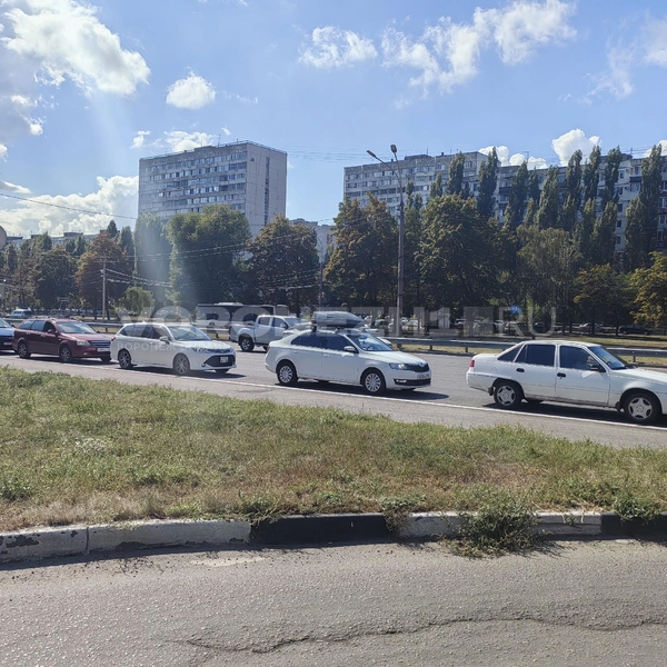 …тянулась по Московскому проспекту… | Источник: Андрей Пашинский / Voronezh1.ru