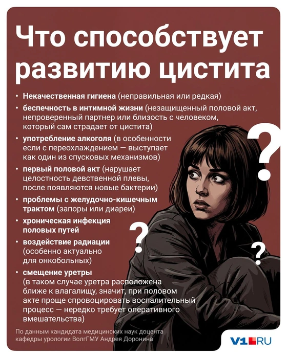 Источник: Полина Авдошина