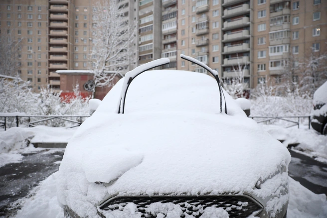 Вместо характерных для этого времени года морозов жителей Сибири ждет мягкая погода, более типичная для поздней осени | 142.ru
