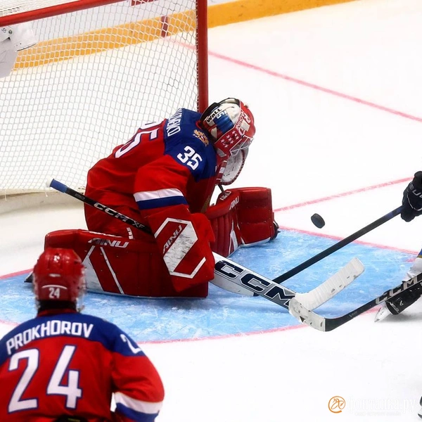 Источник: Дарья Драй / «Фонтанка.ру»