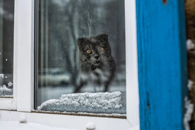 Иркутск встретит День защитника Отечества морозами