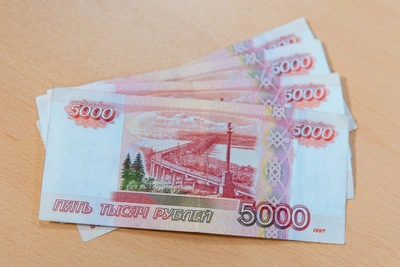 Директор забайкальской фирмы обвинена в мошенничестве на 600 миллионов