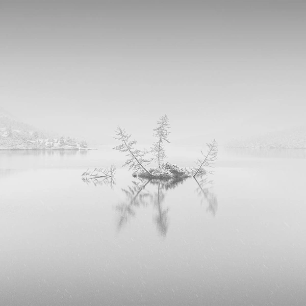 Источник: Michael Levinsky / Fine Art Photography Awards 2025