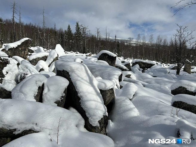 Под снегом провалы | Источник: Алексей Тайганавт / NGS24.RU