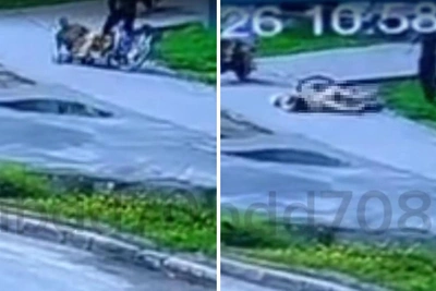 Велосипедист сбил пенсионерку в Архангельске — видео