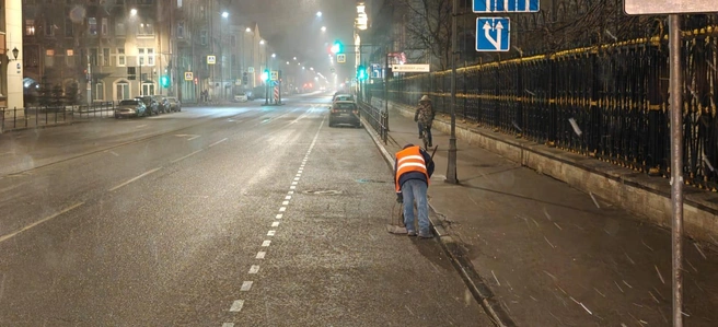 Источник: Комитет по благоустройству Петербурга