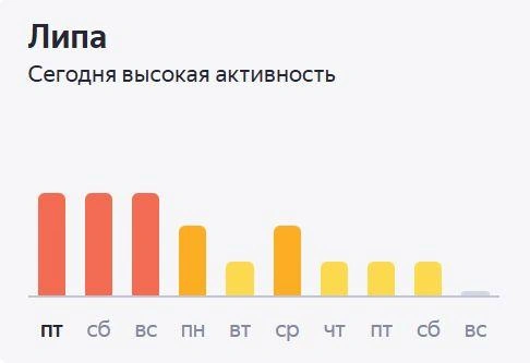 Прогноз от синоптиков на следующую неделю | Источник: «Яндекс. Погода»