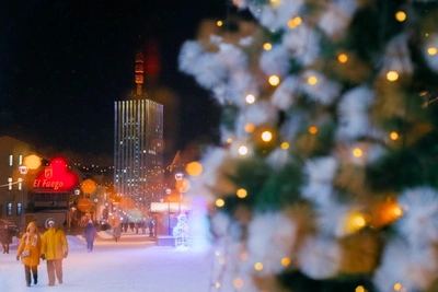 Филимонов день: запрет на крик 27 декабря и приметы