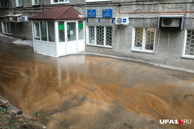 Ливневка на территории есть, но она едва справляется с потоком | Источник: Тимур Шарипкулов