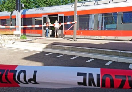 В Швейцарии произошло нападение на пассажиров поезда | ya62.ru