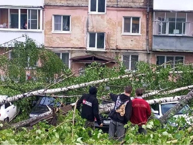 Деревья первыми сдаются под натиском стихии. Но именно они помогают установить мощь вихрей и траекторию их движения | Источник: читатель E1.RU