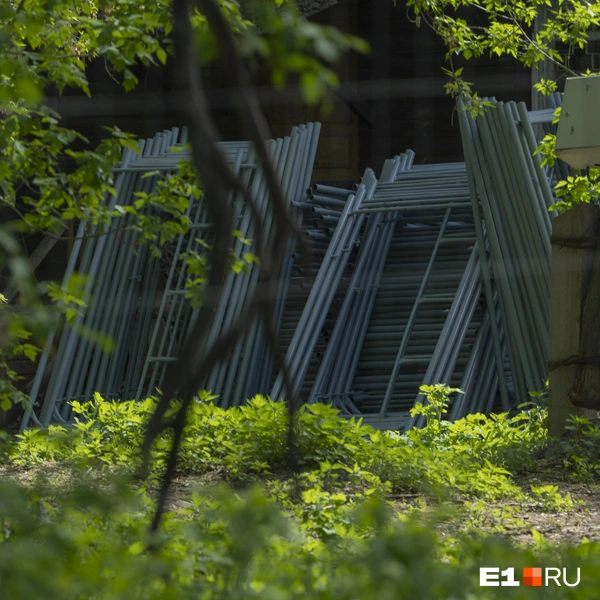 Источник: Кирилл Кушнов / E1.RU