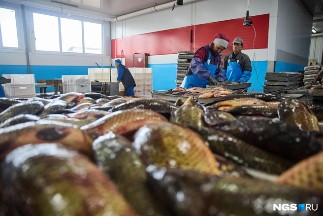 Новое здание рыбозавода в Кармакле построили 9 лет назад | Источник: Александр Ощепков / NGS.ru