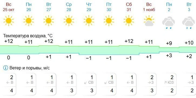 По ночам будет прохладно, но днем&nbsp;— очень комфортно | Источник: Gismeteo