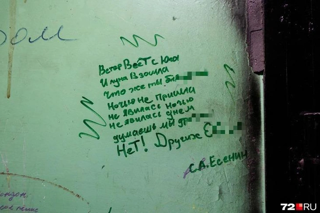 В доме живут знатоки матершиных стихов Сергея Есенина  | Источник: Ирина Шарова / 72.RU