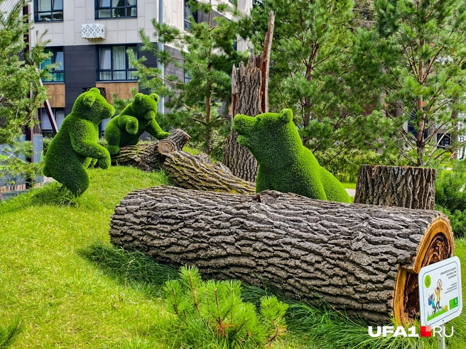 Близко к ним подходить нельзя, прямо как к настоящим | Источник: Булат Салихов / UFA1.RU