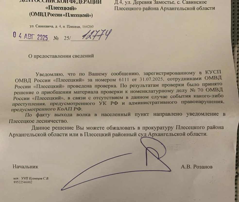Источник: Читательница 29.RU