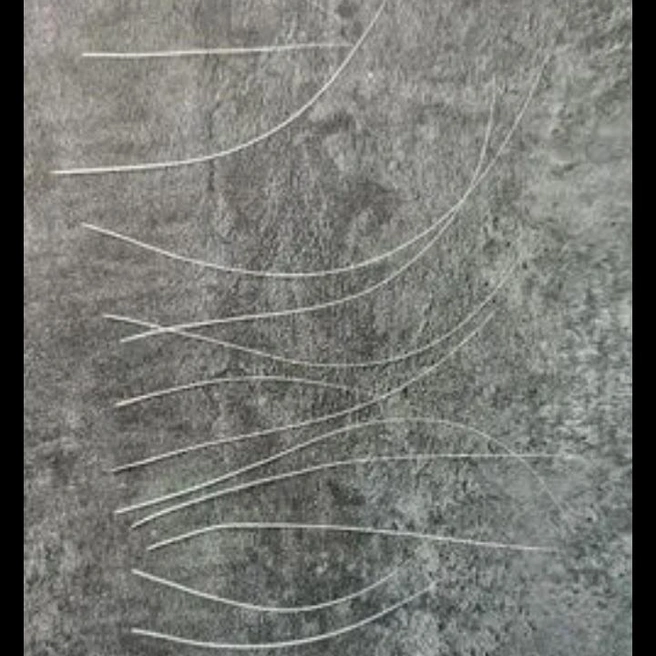 Оказывается, усы у котов выпадают самопроизвольно в результате естественного обновления | Источник: Avito.ru