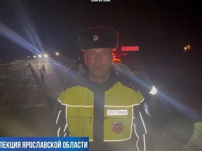 В Ярославской области под колёсами иномарки погибла 57-летняя жительница | Источник: Госавтоинспекция Ярославской области / Max