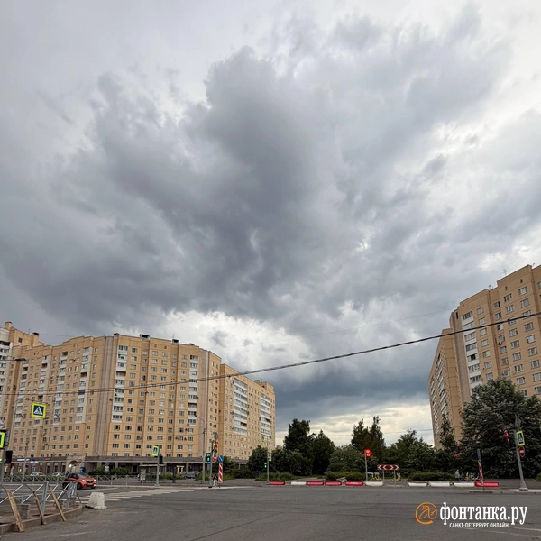 Источник: Евгения Горбунова / «Фонтанка.ру»