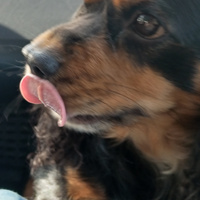 Аватарка Эмилия Зеленцова