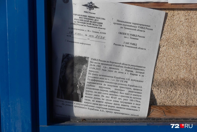 Источник: Ирина Шарова / 72.RU