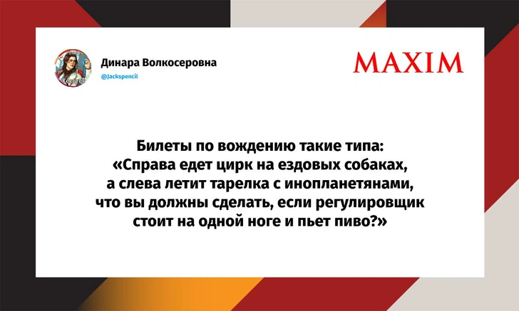 Шутки понедельника и дата Куликовской битвы | Источник: X (Twitter)
