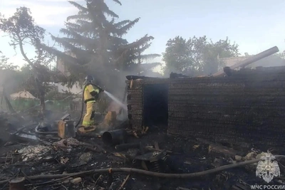 Трое погибли при пожаре в челябинском СНТ