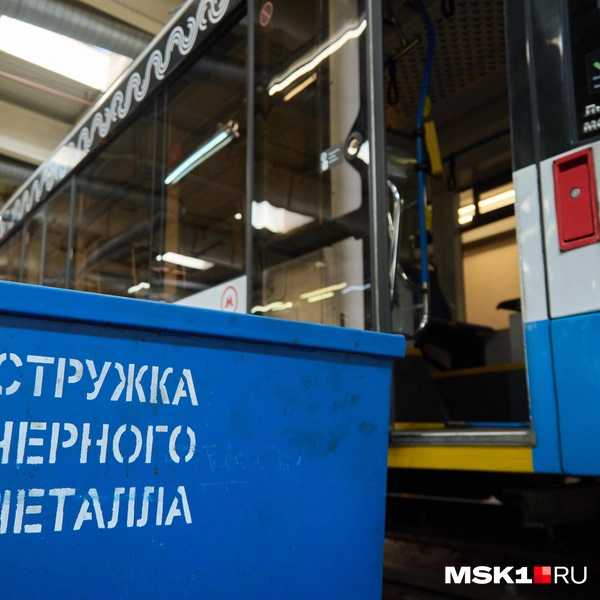 Источник: Дмитрий Толстошеев / MSK1.RU