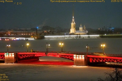 Дворцовый мост засветился красным в честь китайского Нового года