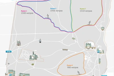 В парке Александрия обустроили лыжню