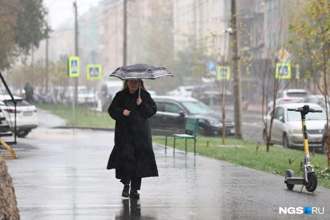 Снегопад сопровождался холодным ветром | Источник: Александр Ощепков / NGS.RU