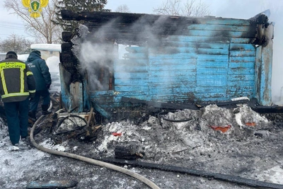 Семье, погибшей на пожаре в Желудеве, окажут помощь