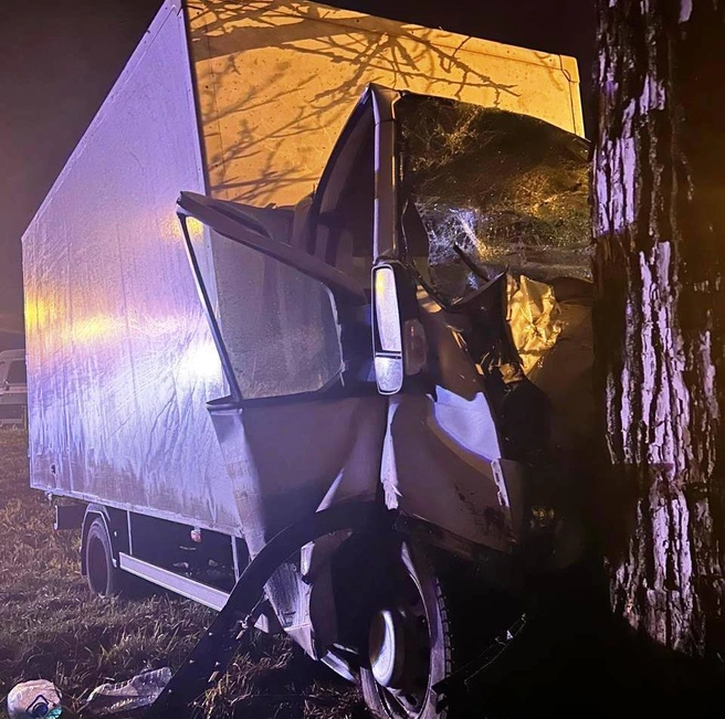 Источник: Госавтоинспекция Новгородской области