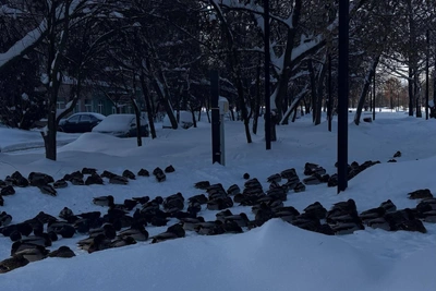 30-Degree Frosts Linger in Ryazan Oblast