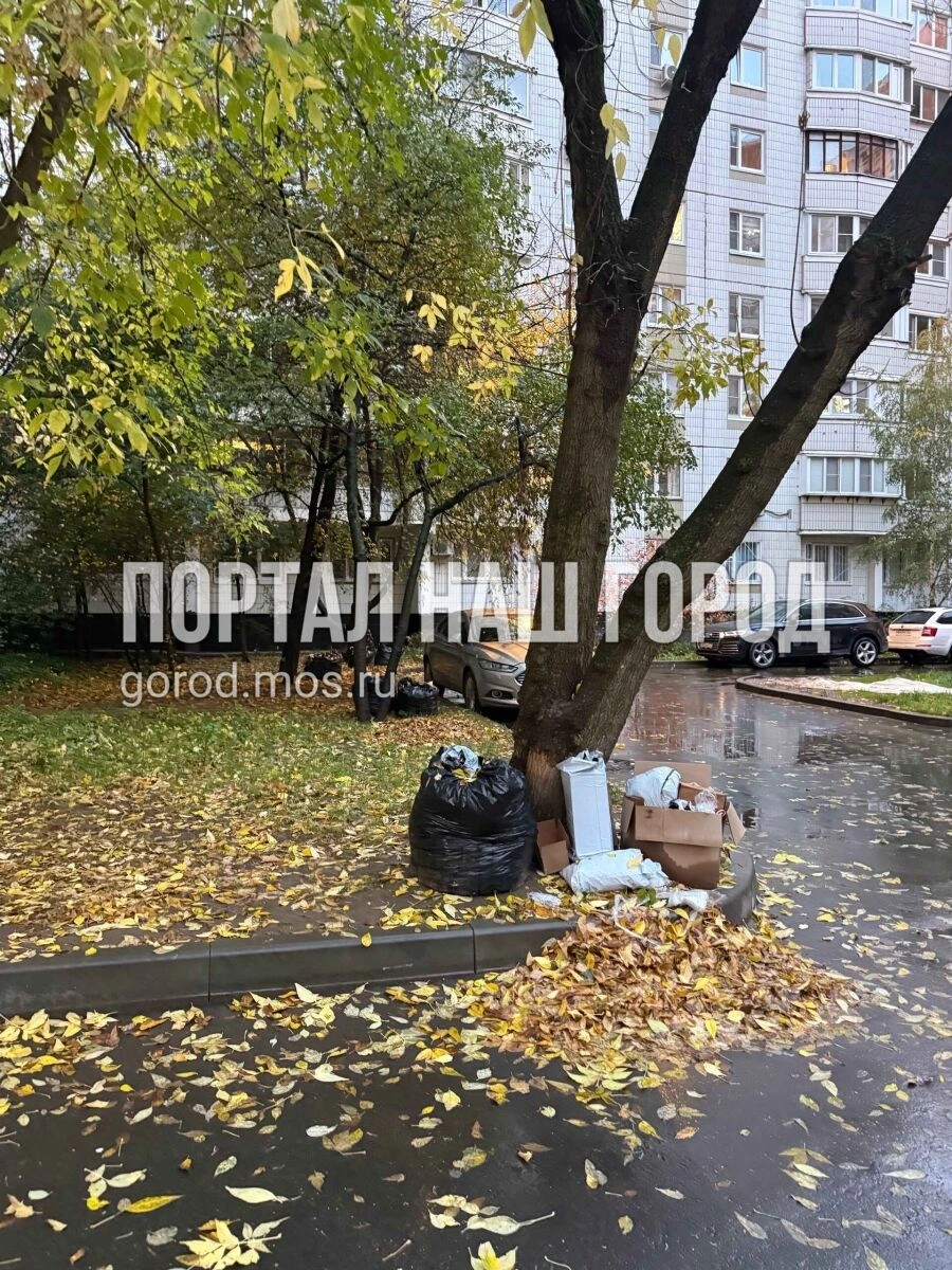 Мусор опять не вывозят&nbsp;— вечная беда | Источник: gorod.mos.ru