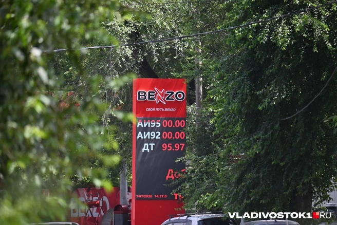Источник: Елена Буйвол / VLADIVOSTOK1.RU