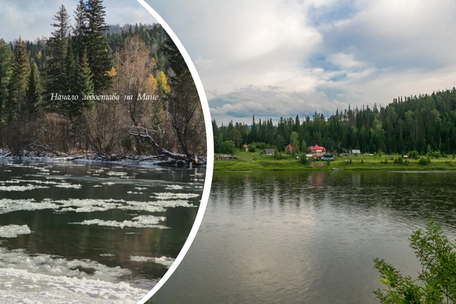 Шуга пошла на месяц раньше | Источник: petr_anika / Telegram, Артем Ленц / NGS24.RU