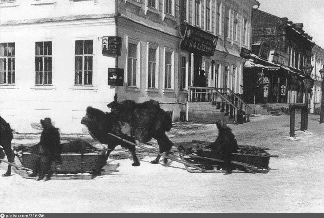 1900–1903 годы. Ничего необычного, просто верблюжья упряжка в центре Омска | Источник: Алексей Пахотин / Pastvu.com