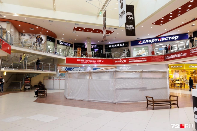 Источник: Ирина Шарова / 72.RU