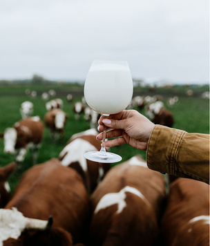 Почему органическое молоко называют «продуктом будущего»?